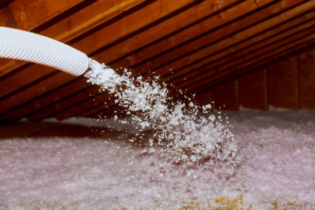 Best Residential Insulation in Flowery Branch, GA