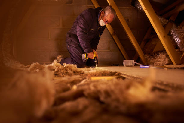 Best Insulation Installation Services in Flowery Branch, GA